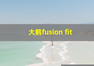 大鹅fusion fit